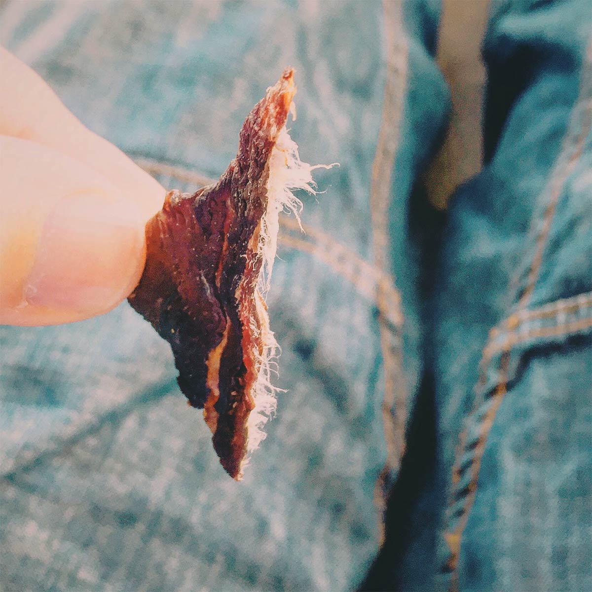 Beef Jerky