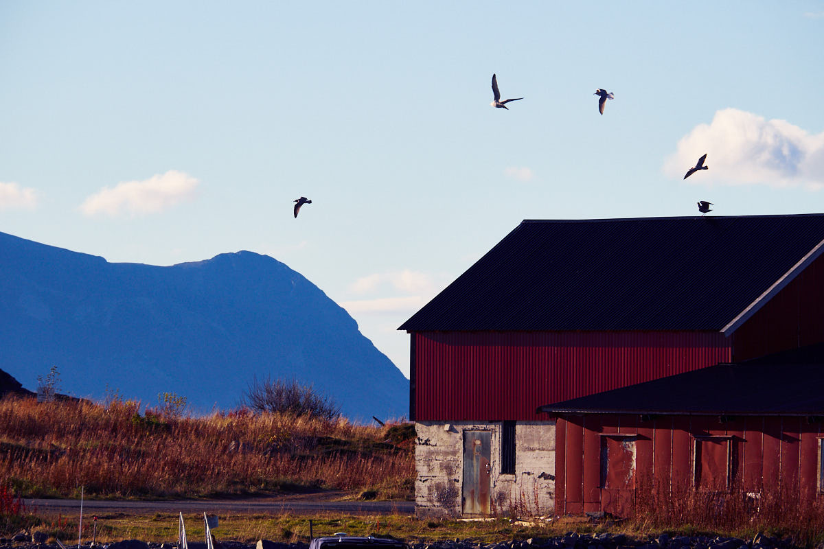 Lofoten