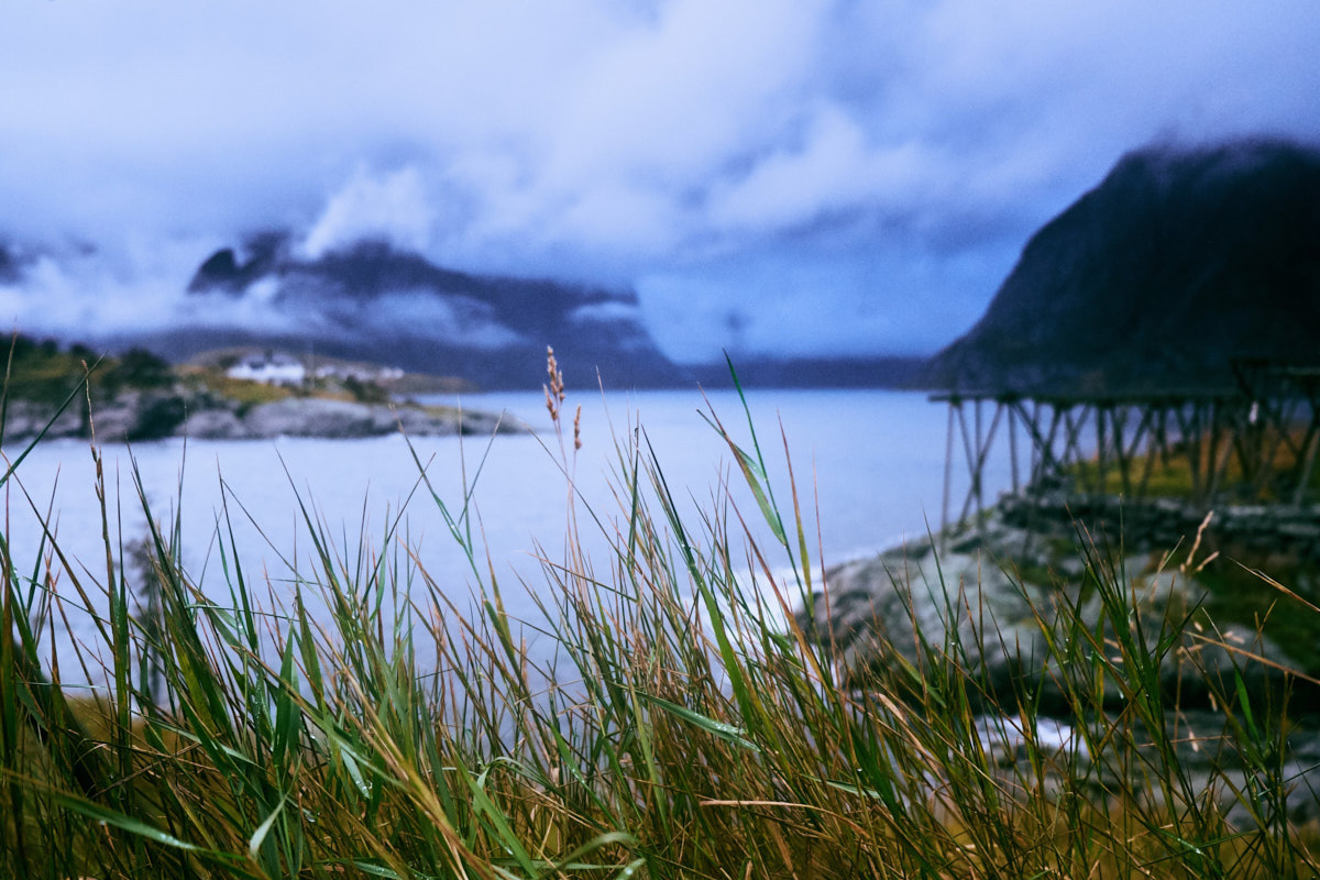 Lofoten 2018