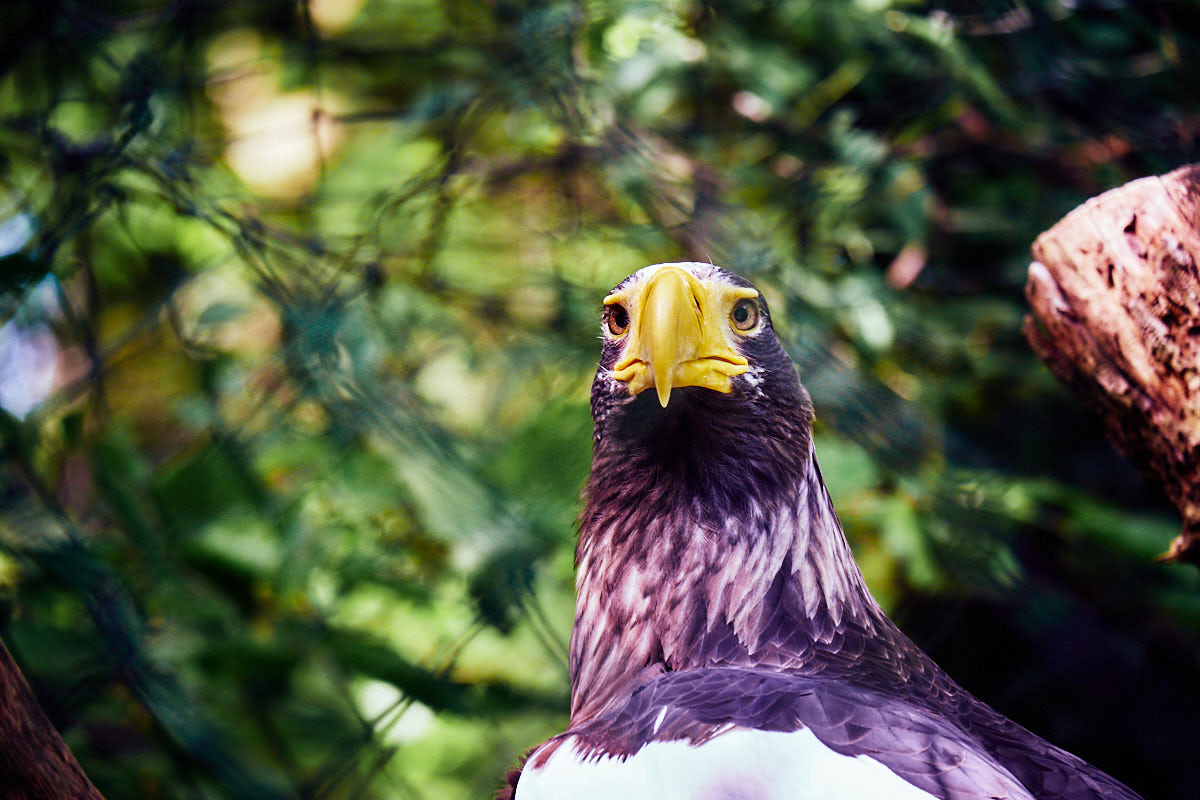 Tierpark